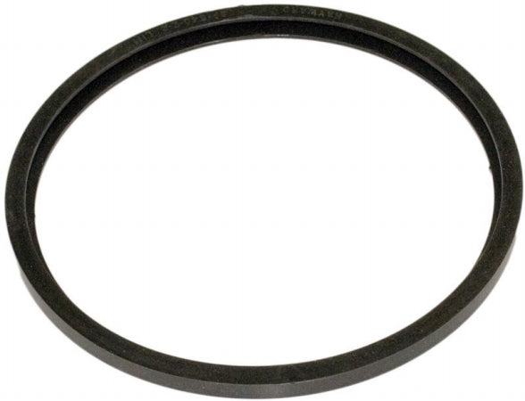 Hayward Color Spa Lens Gasket, Special Hi-Temp (SPX0540Z2)