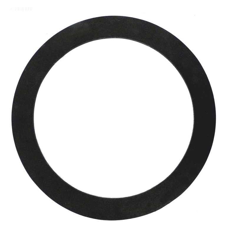 Pentair Triton II Gasket 2in. Bulkhead (154538)