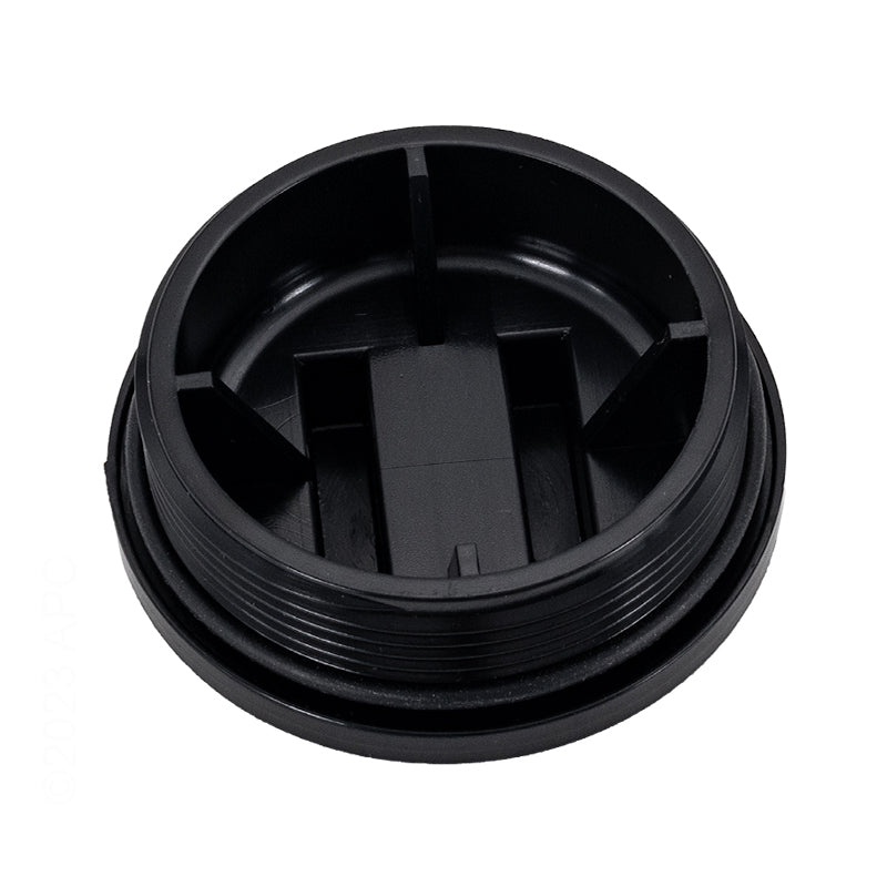 Pentair Plug-2In W/ O-Ring - 195830