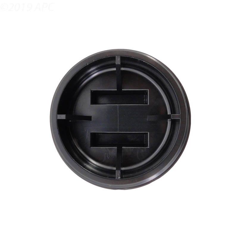 Pentair Plug-2In W/ O-Ring - 195830