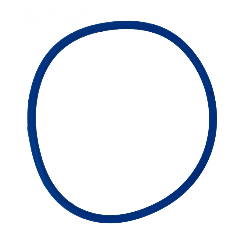 Pentair 356189Z Strainer Cover O-Ring for IntelliFlo3 Pool Pump