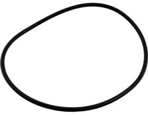 Pentair Maxim O-Ring, Volute (39101500)