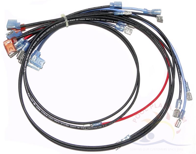 Raypak Versa Heater, Wire Harness Std. (004012F)