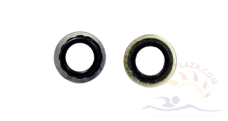 14 - Sta-Rite CC (Commercial) Bronze Pump, Stat-O-Seal Washer (C43-46SS)