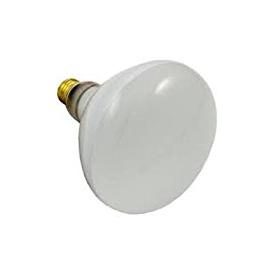 Pentair Amerlite Repalcement Bulb, 300W, 12v, Medium Base (79101900) - Obsolete