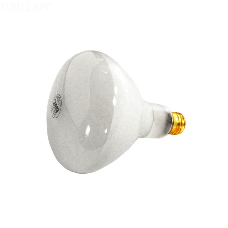 R40 Pool Light Bulb, 120v, 500W Medium Base