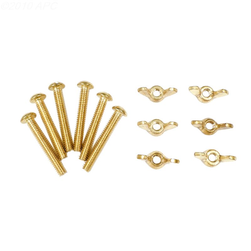 Pentair #155 Brass Bolt and Wing Nut - R221166
