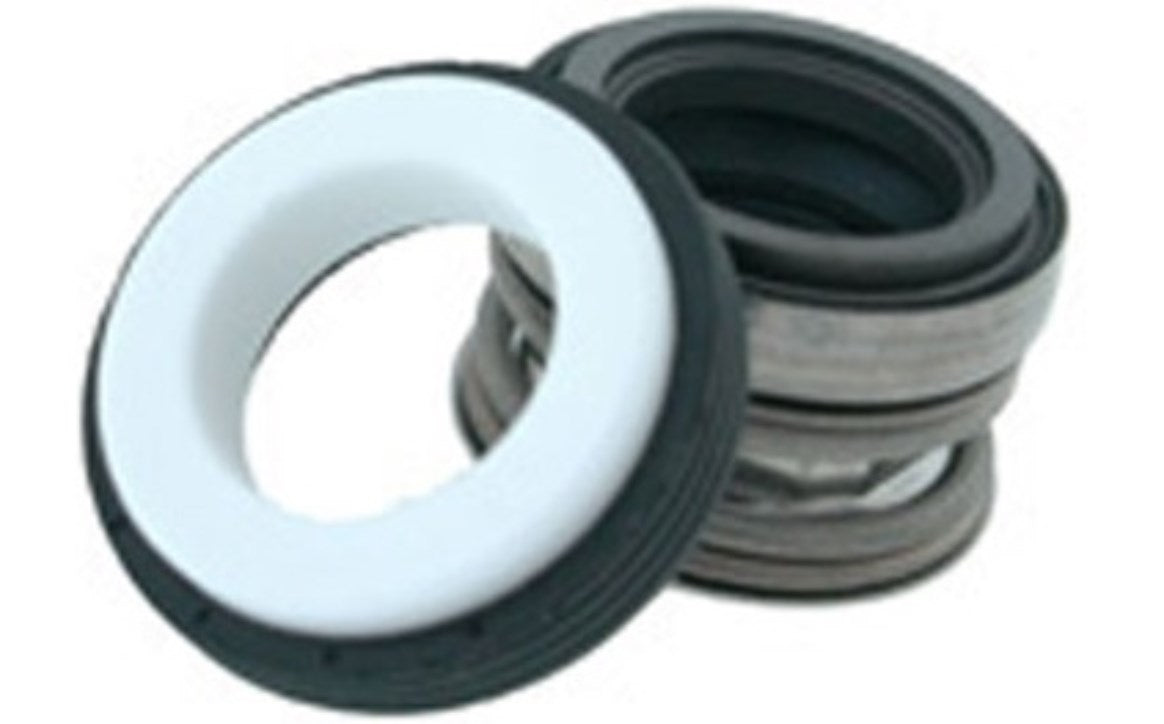 Aladdin Viton Shaft Seal PS100 - 100V-9