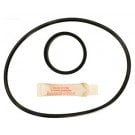 Hayward Micro Star Clear Filter O-ring Kit, Models C120, C200, C225 (APCKIT223)