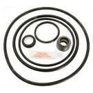 Sta-Rite Dyna-Glas & J Pumps O-ring & Seal Kit (APCKIT47)