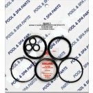 Anthony Plastic Slide Valve Seal Kit 2 in (GO-KIT7)