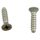 Hayward Hayward Anti-Vortex Plate Screw (Set of 2) - SP1030AV (SPX1039Z1D)
