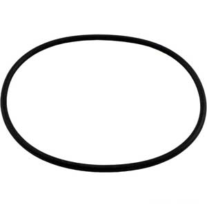 Hayward Leaf Canister O-ring f/W530 &W560 (AXW542)