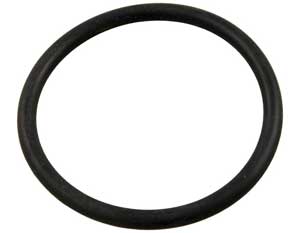 Hayward Max-Flo XL Diffuser O-ring (SP220Z2)