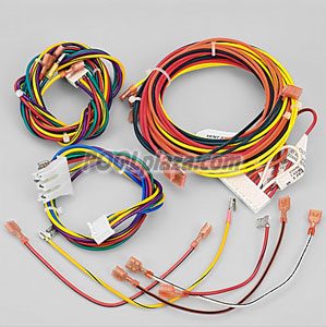 Raypak RP2100 Millivolt Heater, Wire/Harness IID (005270F)