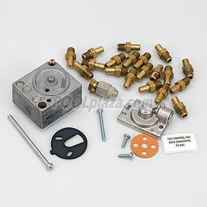 Raypak RP2100 Standard Heater,Pro. to Nat. MV Pilot (R185 & R265) (005319F)