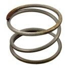Pentair Quad DE Filter, Spring, Compression (Included in 170026) (178616)