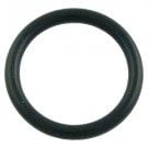 Pentair Slide Valve 261165 Piston O-ring, 2 required (273090)