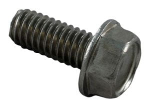 Pentair Challenger/Waterfall Screw, 5/16in.-18 x 3/4in. S/S Washer Head (354265)