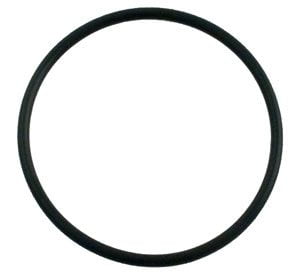 Pentair Ultra-Flow Gasket, Diffuser (39006600) Overstock!