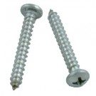 Pentair Legend/Legend II Screw, Cover to Frame (EU80)