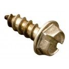 Pentair/Rainbow 320/322 Lock Screw (R01052)
