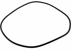 Jandy® JEP ePump Backplate O-ring (R0446300)