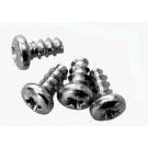 Jandy AquaPure Ei PCB Mounting Screws, #4 x 1/4 in., Pack of 4 (R0512800)