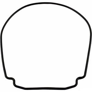 Jandy® Stealth (JHP Series) Gasket, Pump Body (R0555900)