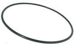 Anthony Apollo DE 18in. Tank O-Ring (017433) (V34-154) (O-87) (53002800)