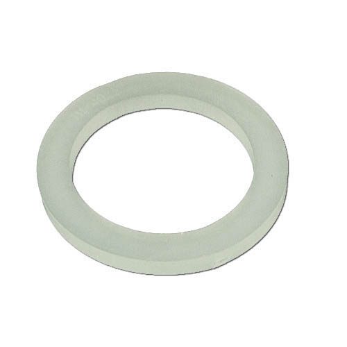 WaterWay Flat Gasket 2 in. (711-4020)