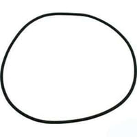 Pentair C-Series O-Ring (P24150) (071433)