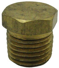 Pentair C-Series Plug Pipe 1/4in. Brass (P24950) (071551)