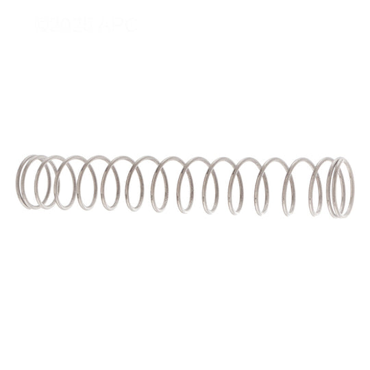 Pentair Spring SS 3 lb - 072524Z