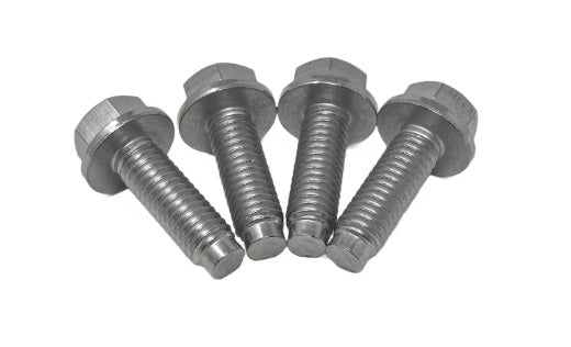 Pentair 074165Z (4) Motor Bolts for IntelliFlo3 Pool Pump