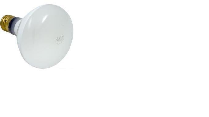 Hayward Generic Bulb, 500W, 120V, R-40 (SPX0504Z4)