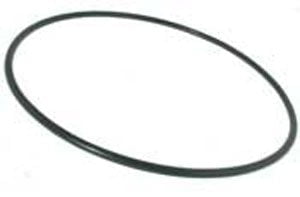 Pentair Tagelus O-Ring, Valve Adaptor, 1/8in. x 8-1/4in. I.D. - TA100D (152501)