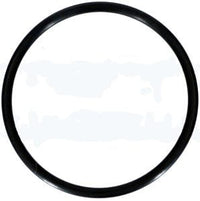 16 - Pentair Triton C-3 Commercial Sand Filter, Oring/Flange Adapter (154004)