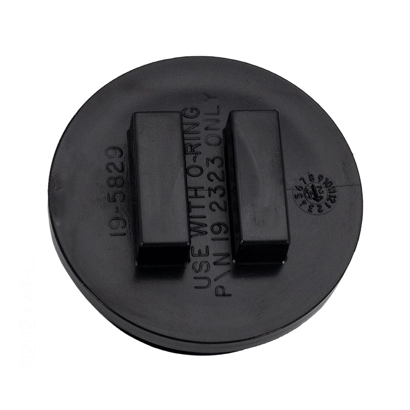 Pentair Plug-2In W/ O-Ring - 195830