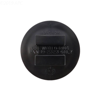 Pentair Plug-2In W/ O-Ring - 195830
