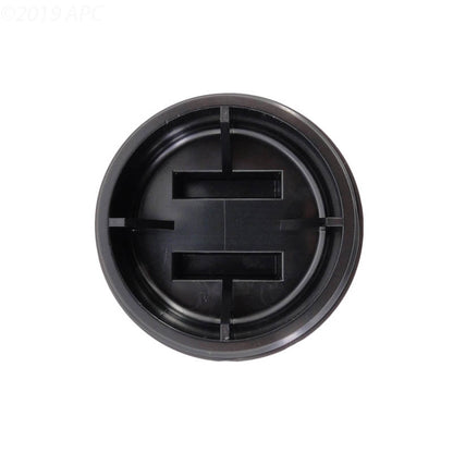 Pentair Plug-2In W/ O-Ring - 195830