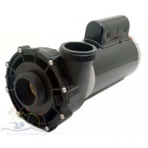 Sundance Dynamax Spa Pump for In Ground Use, 2.5 HP, 2-sp, 240v (6500-2200)