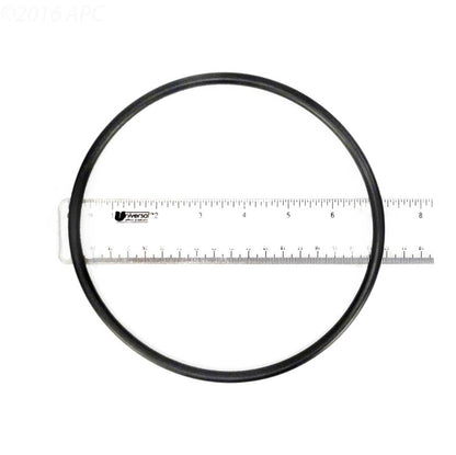 Pentair 219001Z LeafVac™ Debris Canister O-Ring