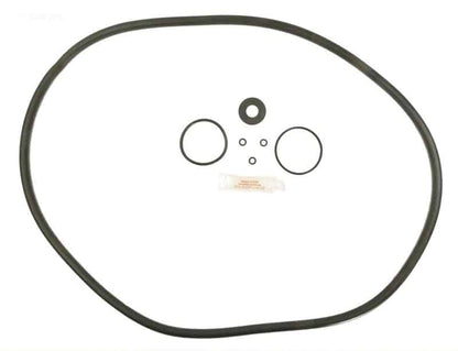Sta-Rite DEP36 O-ring Kit (APCK1158) (RO-KIT470)