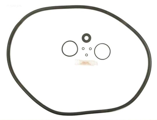 Sta-Rite DEP36 O-ring Kit (APCK1158) (RO-KIT470)