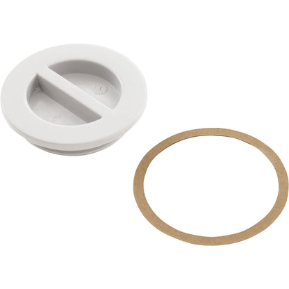 CMP 1.5In NPT Flat Plug - 25542000000