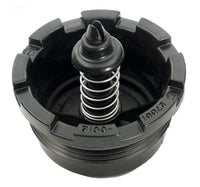 14 - Sta-Rite System 2 PLD DE Filter, Spring Check Valve (27001-0130S)