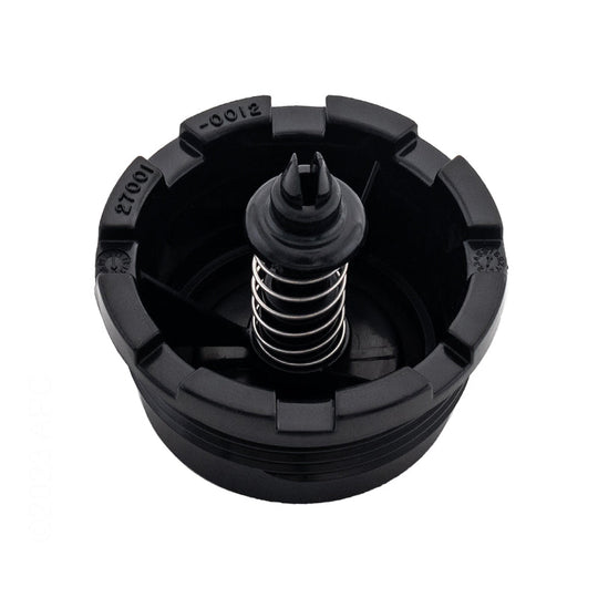 Pentair PLM/PLD Spring Check Valve - 27001-0130S