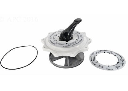 Pentair TM/SM20 MPV Top Valve Assembly, 2 Inch (270067)