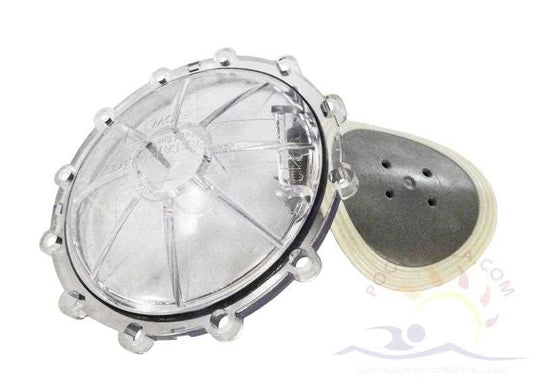Pentair Check Valve Flapper Replacement Kit, 2.5 x 3 inch model (270119Z)